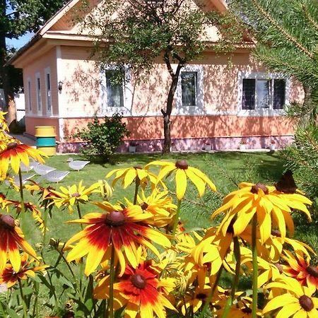 Guest House Vitebsk Exterior photo