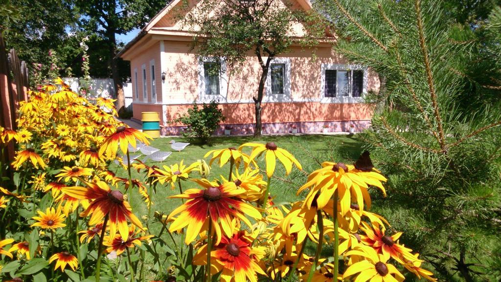 Guest House Vitebsk Exterior photo